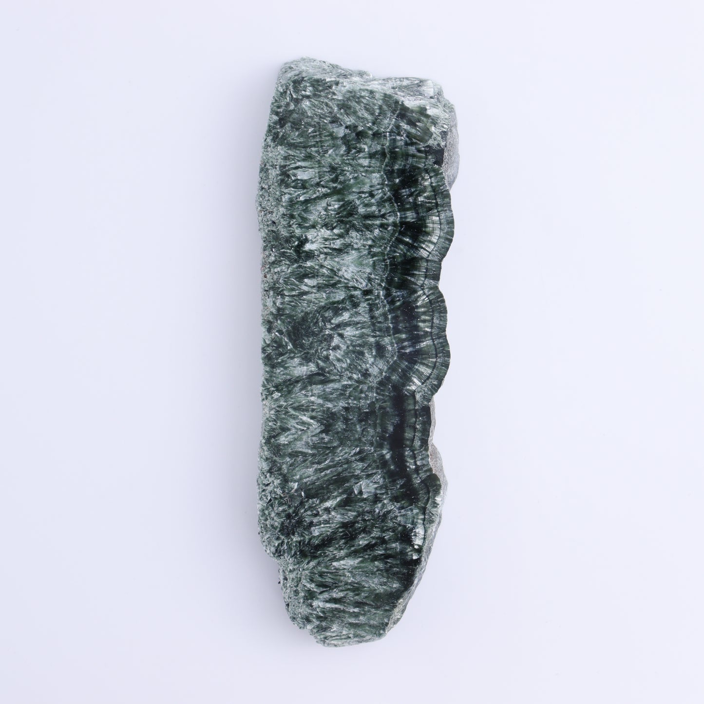Seraphinite Slices Set of 4 - Expert Wholesale and Supplier of Wholesale Crystals & Bulk Gemstones, ["Russia","Seraphinite","Slices and Slabs"]