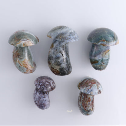 Jasper Mushrooms Set of 5