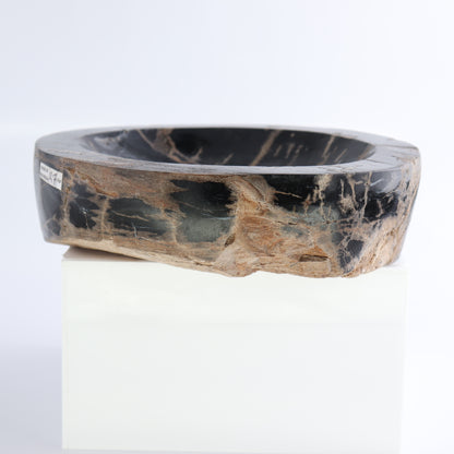 One Petrified Wood Black Polished Bowl