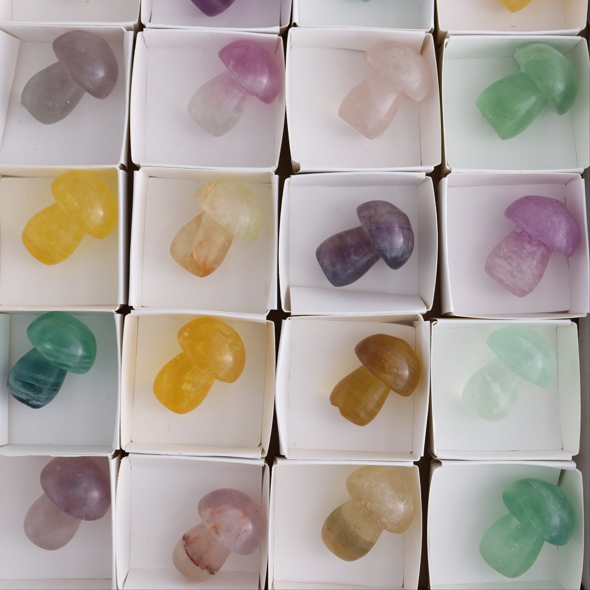 Fluorite Mushrooms Set of 24 - Expert Wholesale and Supplier of Wholesale Crystals & Bulk Gemstones, ["Fluorite","Mushrooms"]