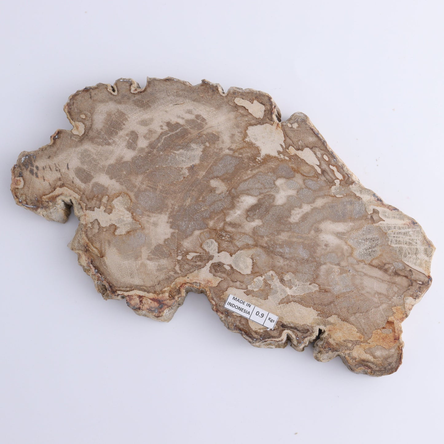 Petrified Wood Slices & Slabs Set of 3 - Expert Wholesale and Supplier of Wholesale Crystals & Bulk Gemstones, ["Freeforms","Indonesia","Petrified Wood","Slices and Slabs"]