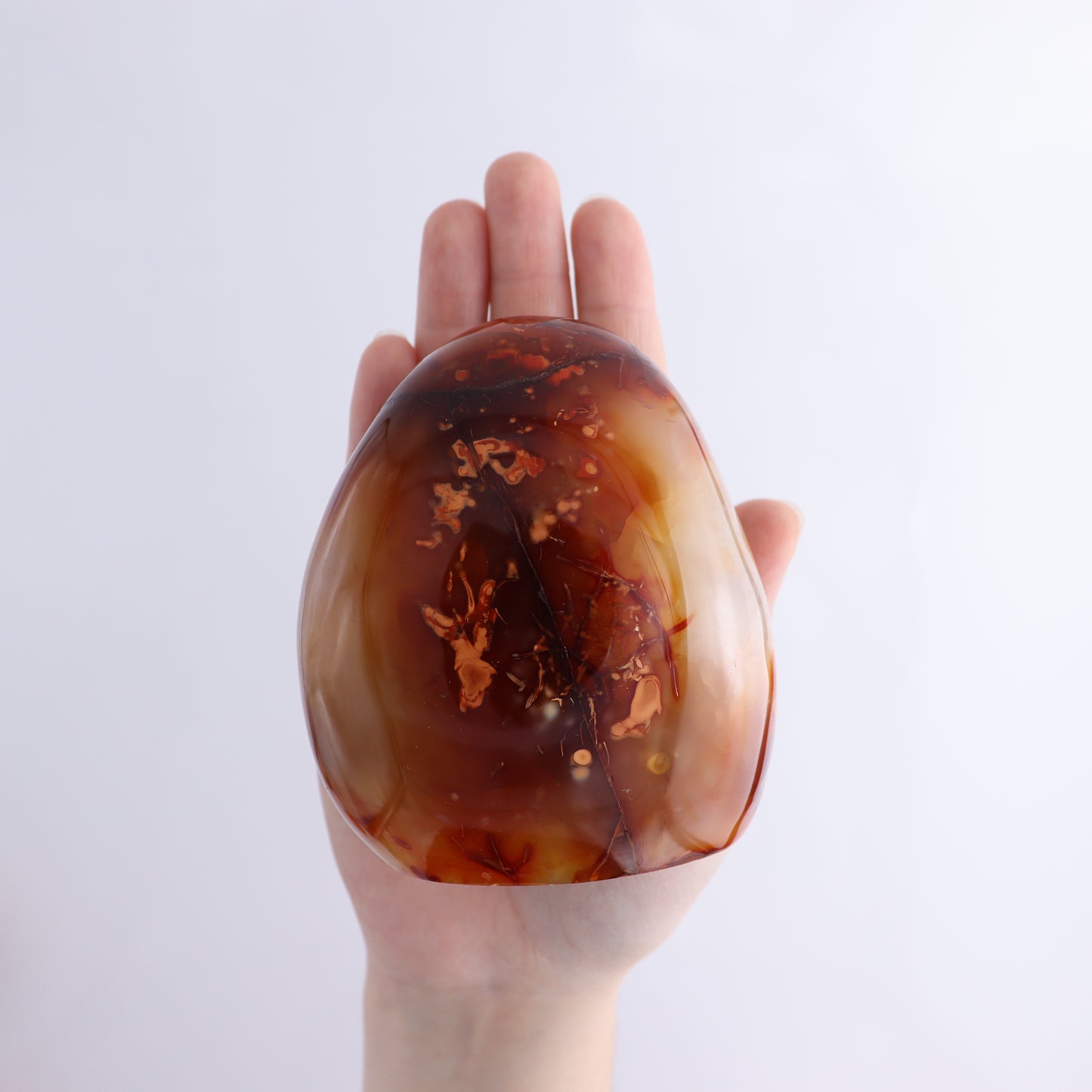 Carnelian Freeform Set of 10 - Expert Wholesale and Supplier of Wholesale Crystals & Bulk Gemstones, ["carnelian","Freeforms","Madagascar"]
