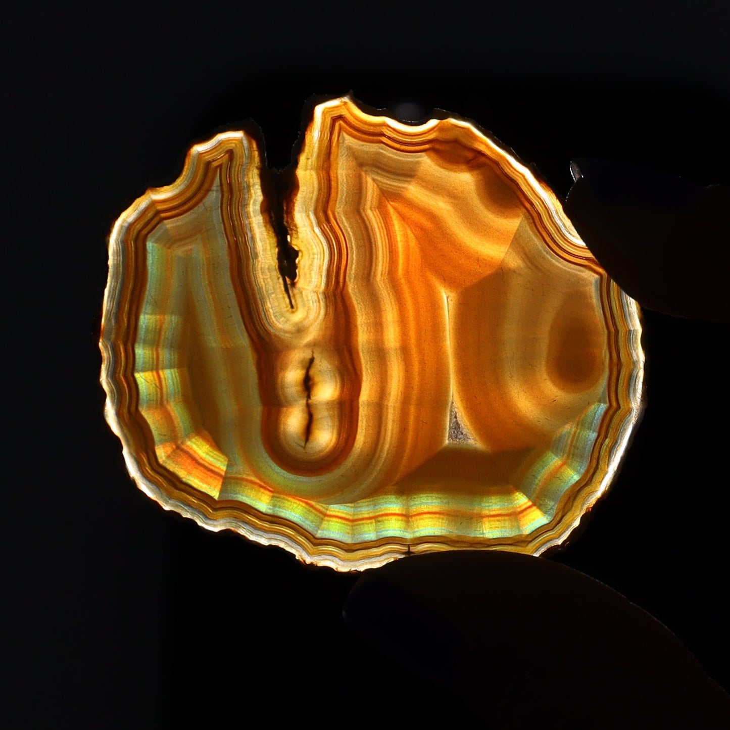 Iris Agate Slices Set of 7 - Expert Wholesale and Supplier of Wholesale Crystals & Bulk Gemstones, ["Agate","Iris Agate","Slices and Slabs"]