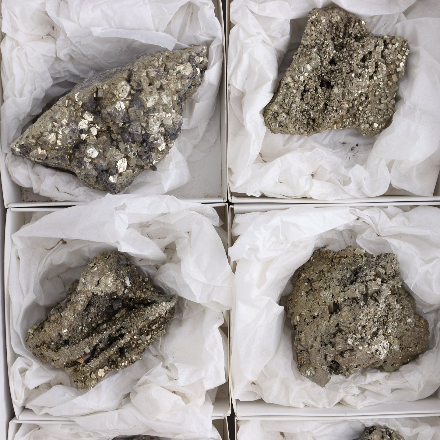 Pyrite Flat of 6 - Expert Wholesale and Supplier of Wholesale Crystals & Bulk Gemstones, ["flat","Flats","Pyrite"]