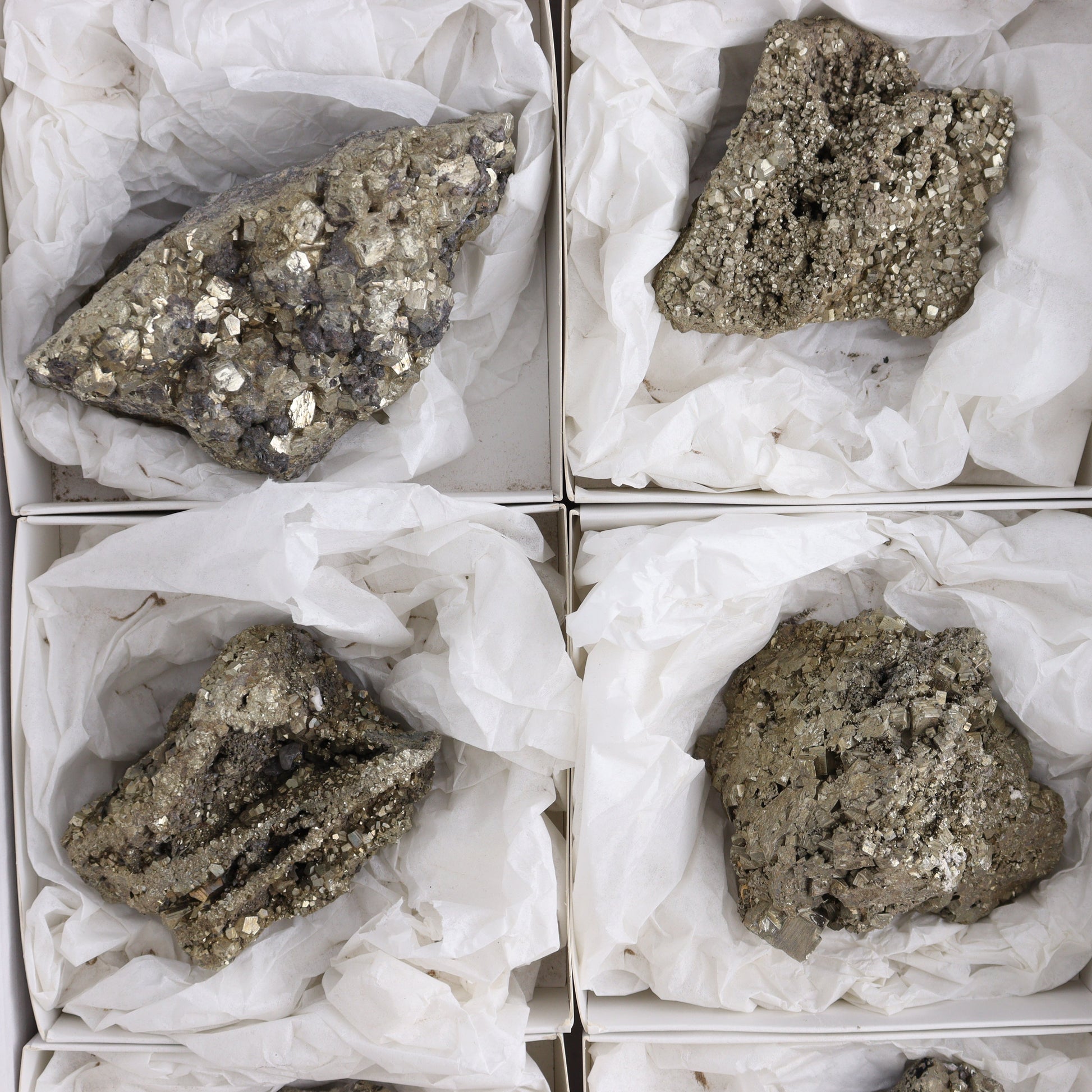 Pyrite Flat of 6 - Expert Wholesale and Supplier of Wholesale Crystals & Bulk Gemstones, ["flat","Flats","Pyrite"]