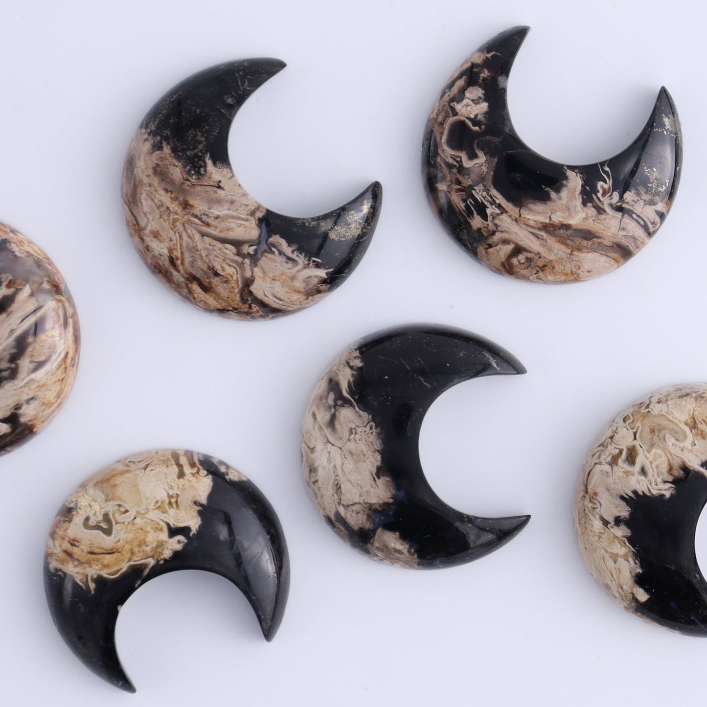 One Palm Root Moon Cab - Expert Wholesale and Supplier of Wholesale Crystals & Bulk Gemstones, ["Cabs","moons","Palm Root"]