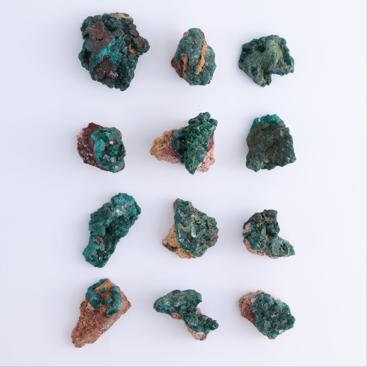 Dioptase Set of 12 - Expert Wholesale and Supplier of Wholesale Crystals & Bulk Gemstones, ["dioptase","Freeform","Freeforms"]