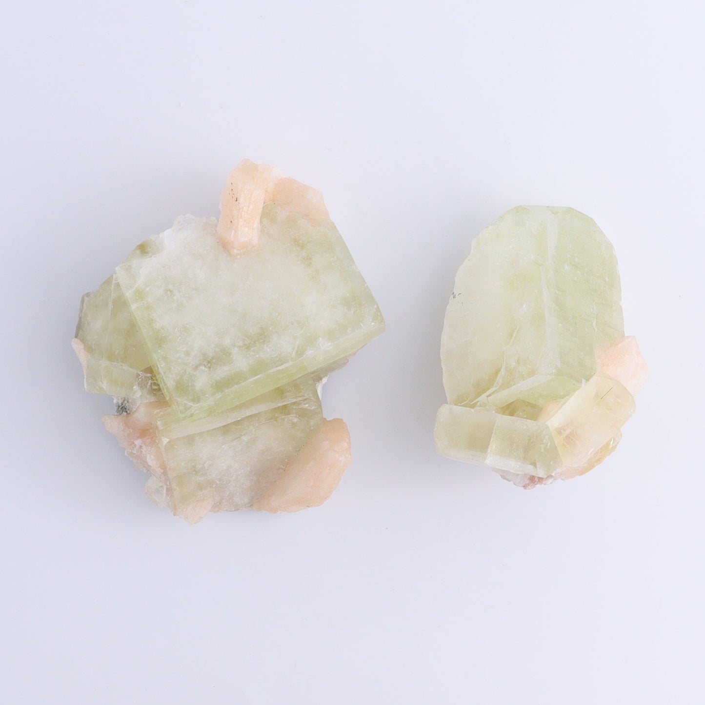 Apophyllite Clusters Flat of 6 - Expert Wholesale and Supplier of Wholesale Crystals & Bulk Gemstones, ["Apophyllite","Clusters","Flats"]