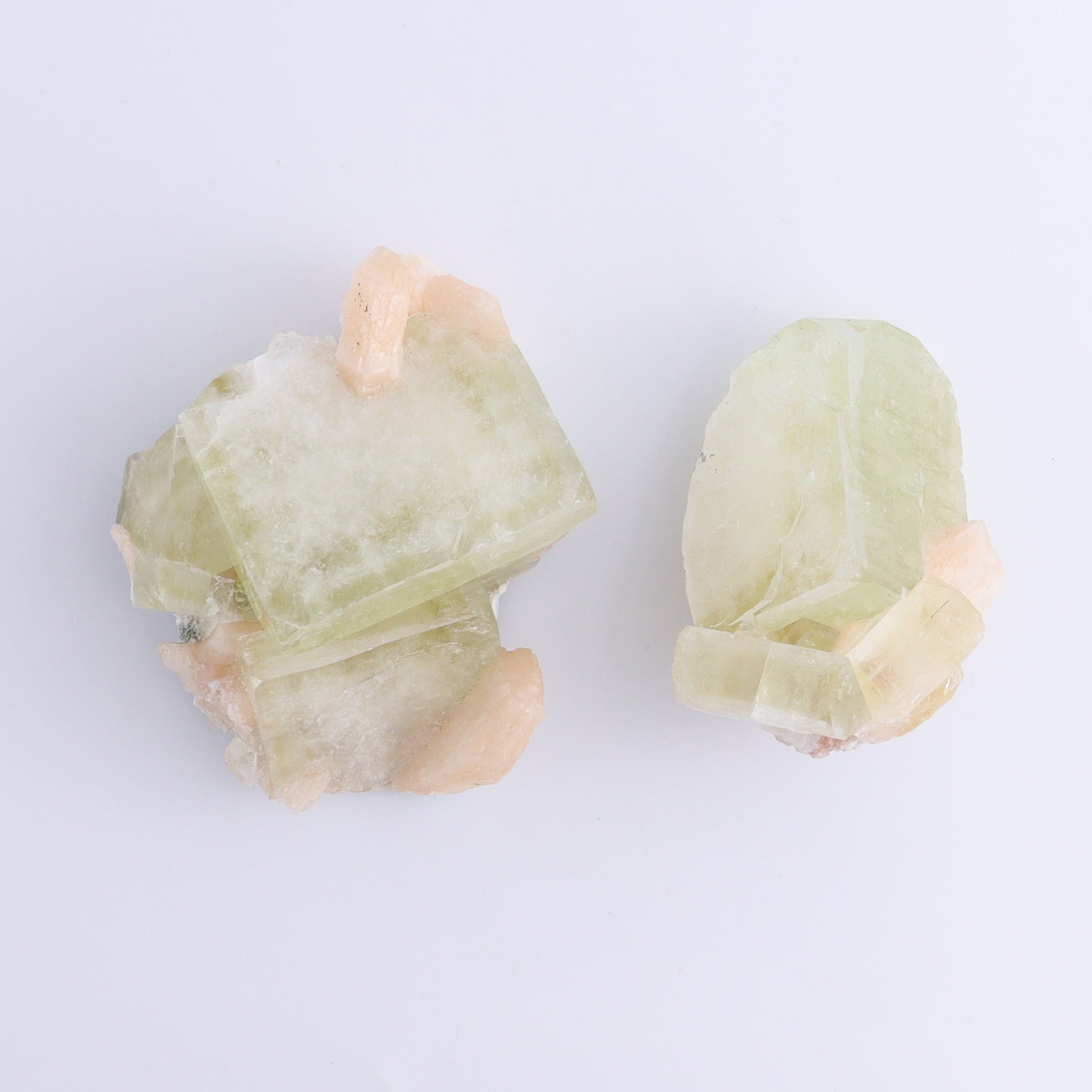 Apophyllite Clusters Flat of 6 - Expert Wholesale and Supplier of Wholesale Crystals & Bulk Gemstones, ["Apophyllite","Clusters","Flats"]