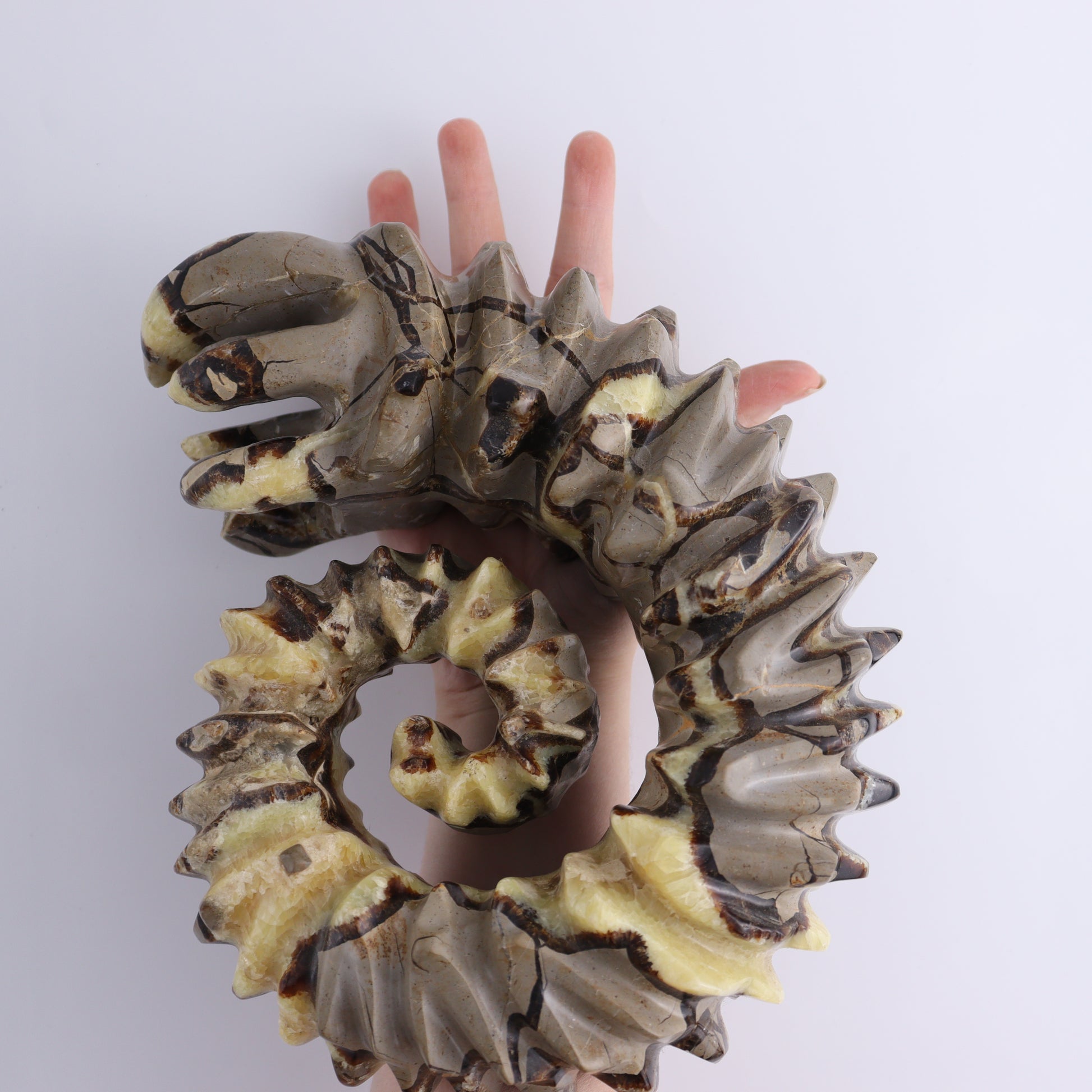 Septarian Mixed Carving - Expert Wholesale and Supplier of Wholesale Crystals & Bulk Gemstones, ["Madagascar","Septarian"]