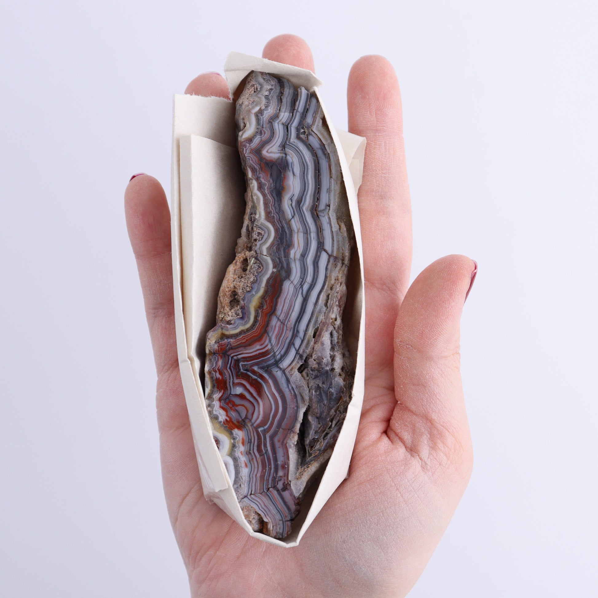 Crazy Lace Agate Flat of 12 - Expert Wholesale and Supplier of Wholesale Crystals & Bulk Gemstones, ["Crazy Lace Agate","Mexico"]