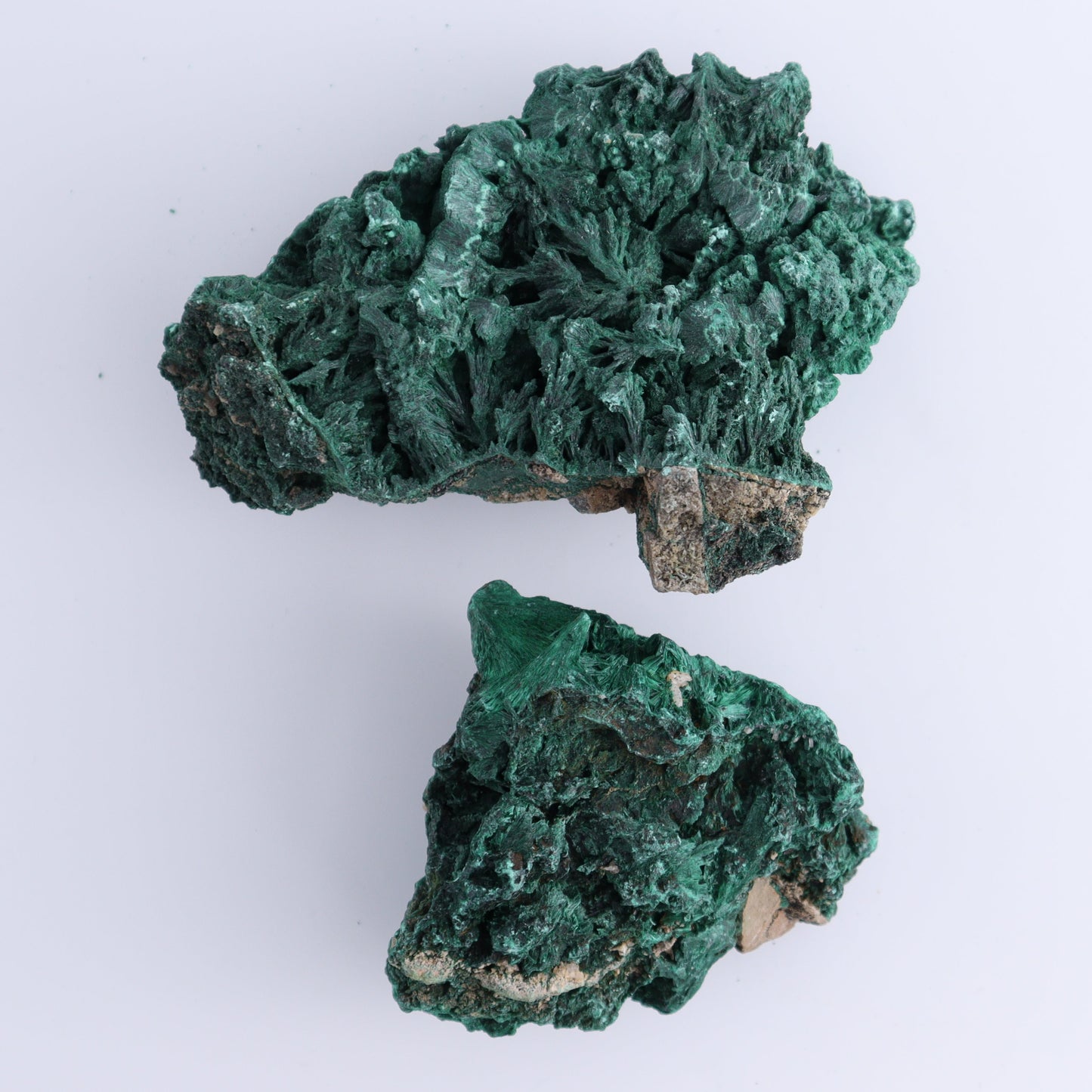 Malachite Freeforms Set of 2 - Expert Wholesale and Supplier of Wholesale Crystals & Bulk Gemstones, ["Freeform","Malachite","South Africa"]