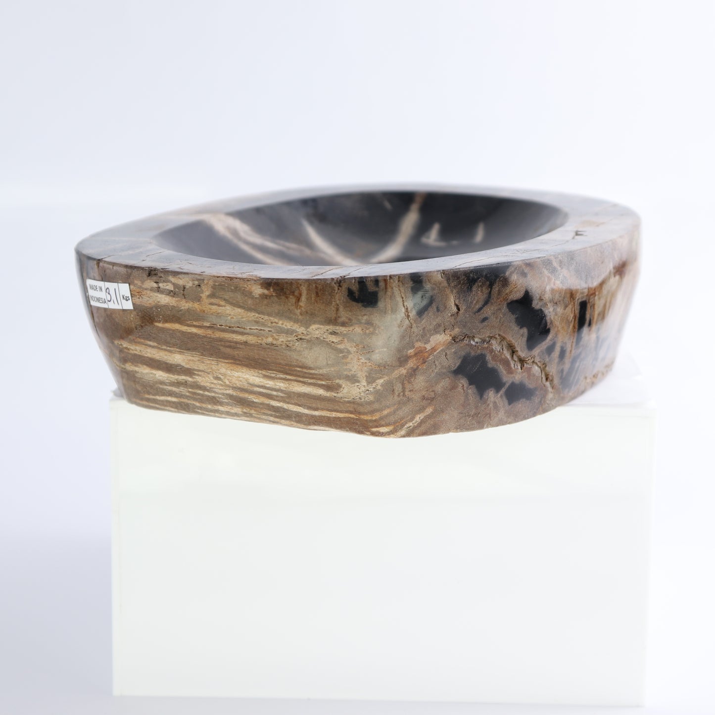 One Petrified Wood Black Polished Bowl