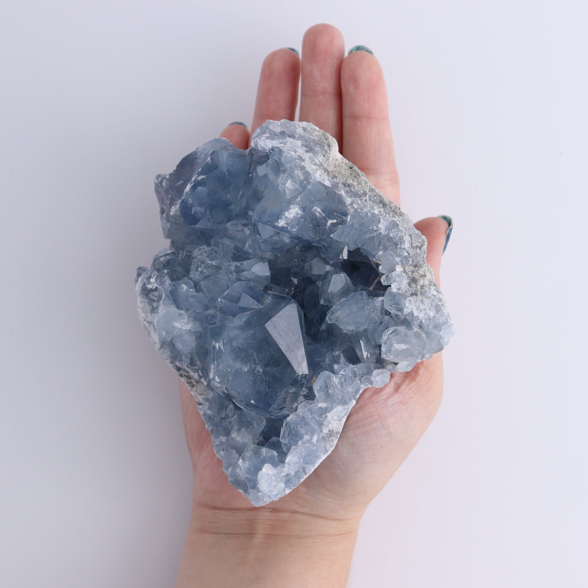 Celestite Clusters Set of 8 - Expert Wholesale and Supplier of Wholesale Crystals & Bulk Gemstones, ["Celestite","Freeform","Madagascar"]