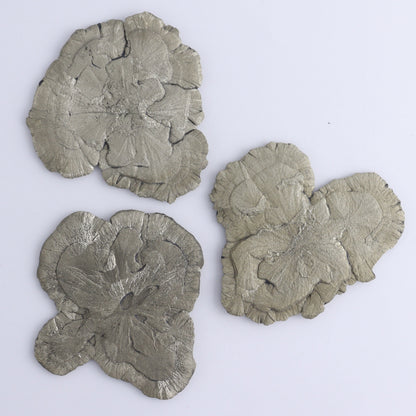 Pyrite Suns Flat of 6 - Expert Wholesale and Supplier of Wholesale Crystals & Bulk Gemstones, ["Pyrite","Suns","United States"]
