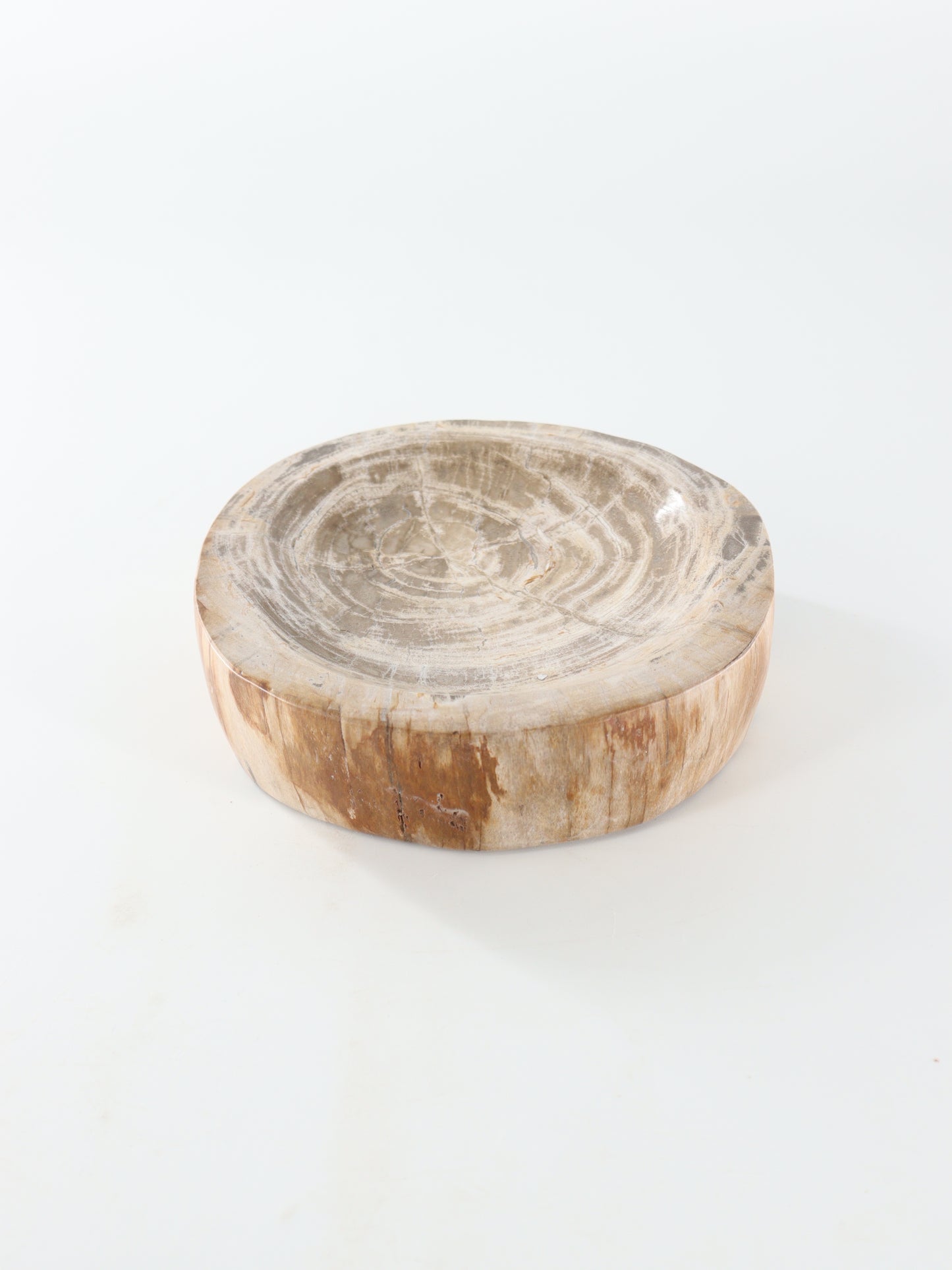 Petrified Wood Bowl - Expert Wholesale and Supplier of Wholesale Crystals & Bulk Gemstones, []
