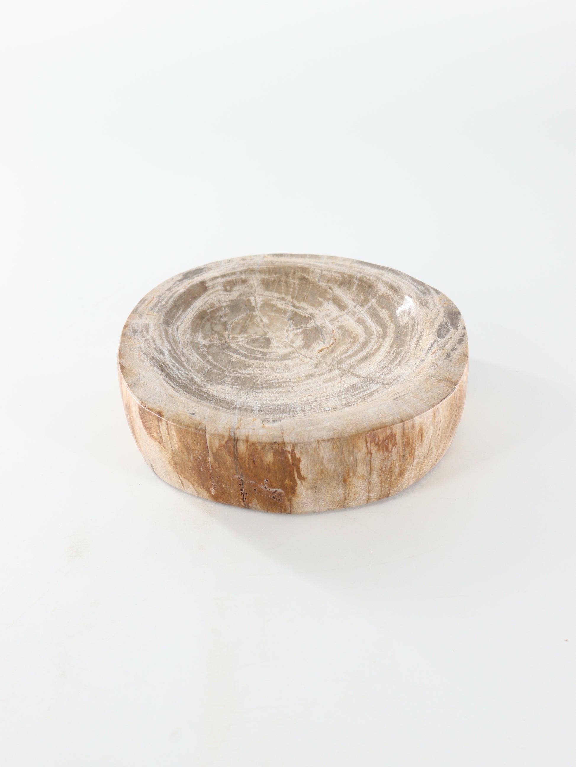Petrified Wood Bowl - Expert Wholesale and Supplier of Wholesale Crystals & Bulk Gemstones, []