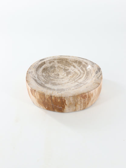 Petrified Wood Bowl - Expert Wholesale and Supplier of Wholesale Crystals & Bulk Gemstones, []