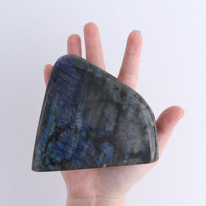 Labradorite Freeform Set of 8
