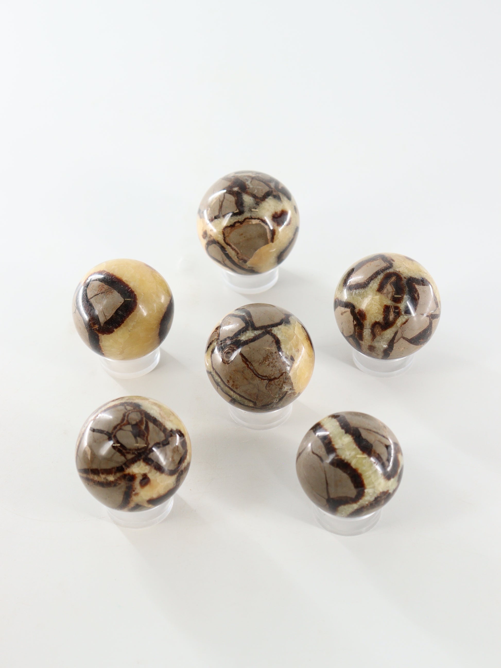 Septarian Spheres Set of 6 - Expert Supplier of Wholesale Crystals & Bulk Gemstones