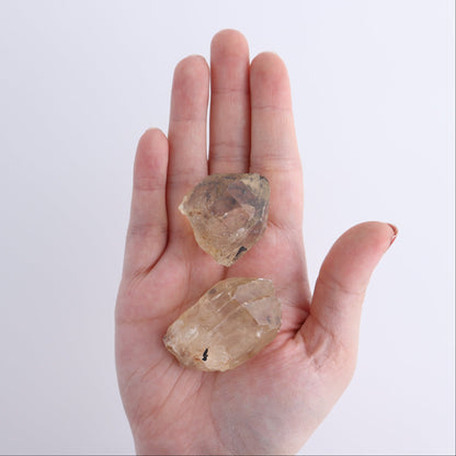Citrine Roughs Set of 7