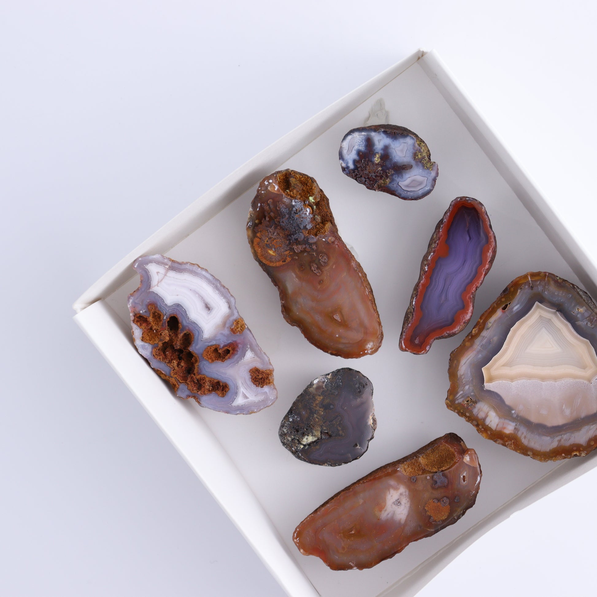 Coyamito Agate Geodes from Mexico Set of 7 - Expert Wholesale and Supplier of Wholesale Crystals & Bulk Gemstones, ["Agate","Coyamito Agate","Geodes","Mexico"]