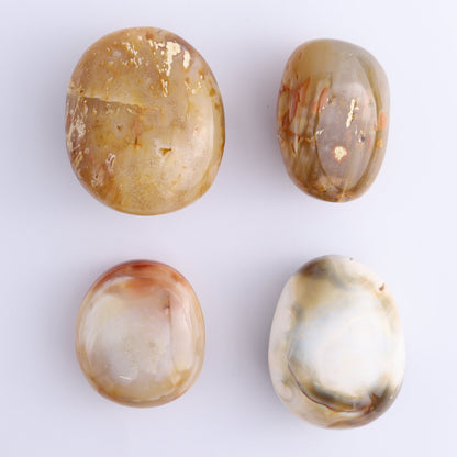 Carnelian Large Palm Stones Set of 4 - Expert Wholesale and Supplier of Wholesale Crystals & Bulk Gemstones, ["carnelian","Madagascar","Palm Stones"]