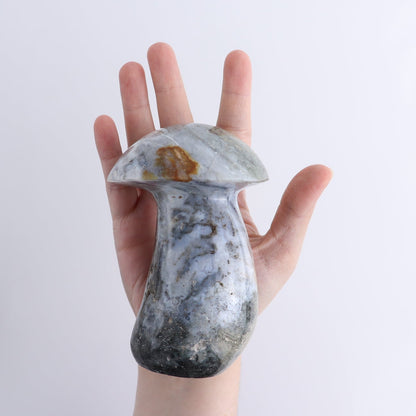 Jasper Mushrooms Set of 5