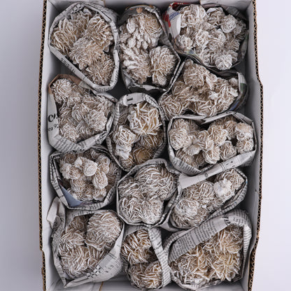 Desert Rose Set of 13 - Expert Wholesale and Supplier of Wholesale Crystals & Bulk Gemstones, ["Desert Rose","Freeforms","Morocco"]