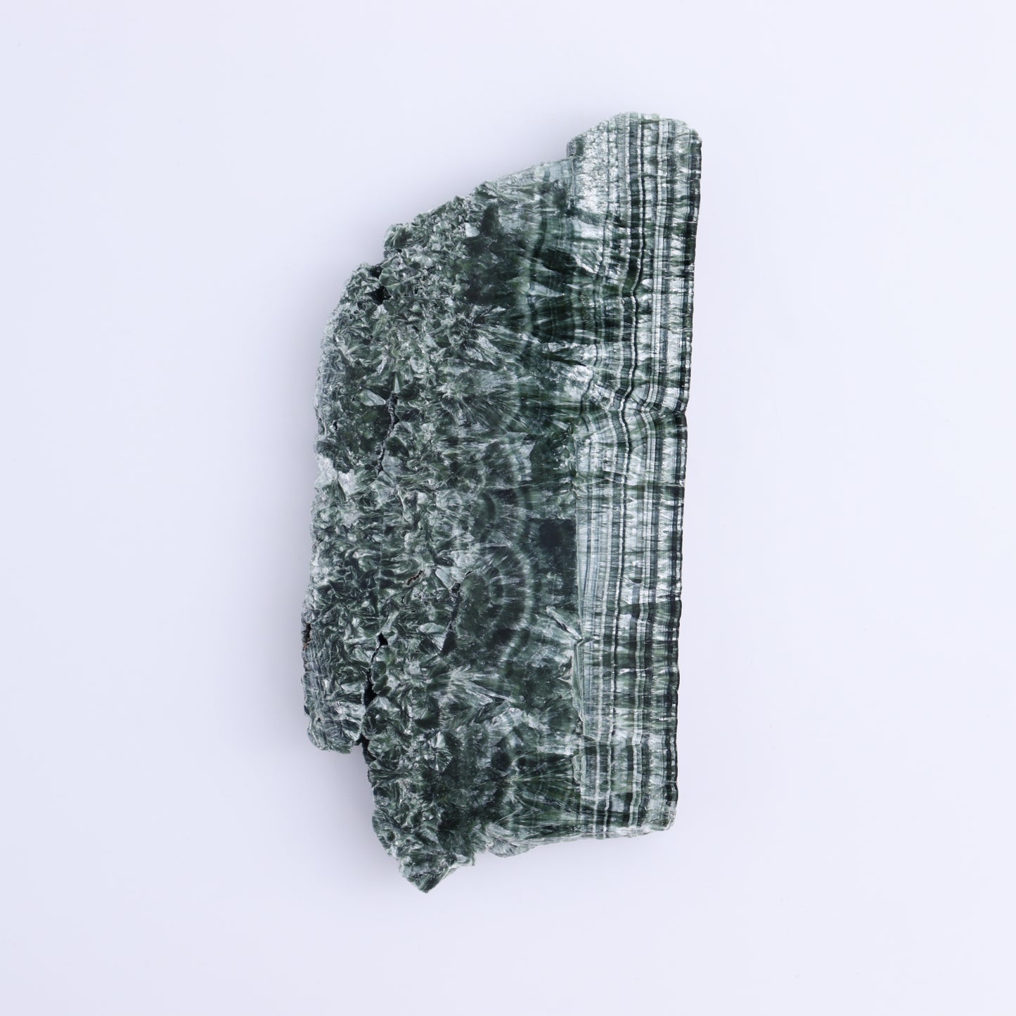 Seraphinite Slices Set of 4 - Expert Wholesale and Supplier of Wholesale Crystals & Bulk Gemstones, ["Russia","Seraphinite","Slices and Slabs"]