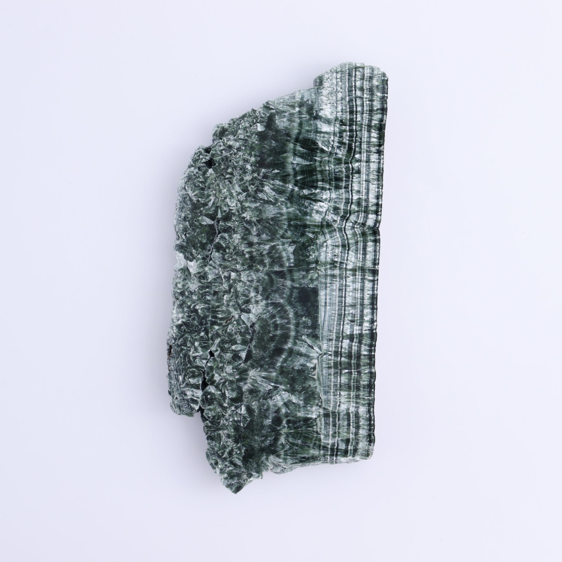 Seraphinite Slices Set of 4 - Expert Wholesale and Supplier of Wholesale Crystals & Bulk Gemstones, ["Russia","Seraphinite","Slices and Slabs"]