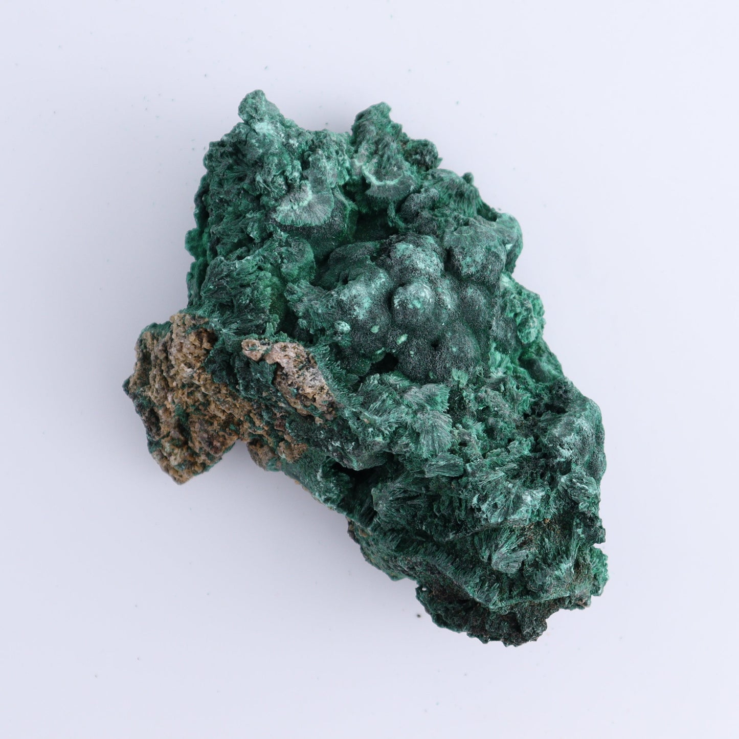 Malachite Freeforms Set of 2 - Expert Wholesale and Supplier of Wholesale Crystals & Bulk Gemstones, ["Freeform","Malachite","South Africa"]