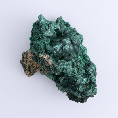 Malachite Freeforms Set of 2 - Expert Wholesale and Supplier of Wholesale Crystals & Bulk Gemstones, ["Freeform","Malachite","South Africa"]