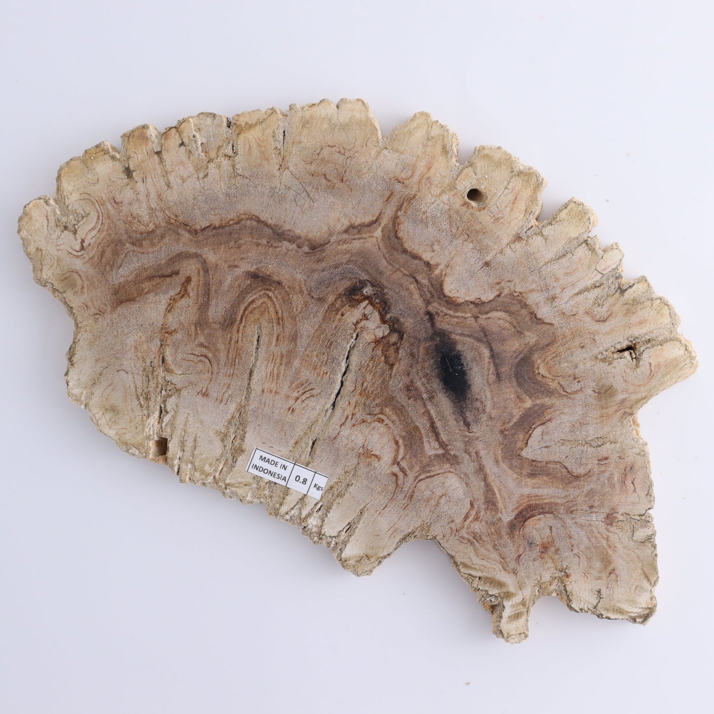 Petrified Wood Slices & Slabs Set of 3 - Expert Wholesale and Supplier of Wholesale Crystals & Bulk Gemstones, ["Freeforms","Indonesia","Petrified Wood","Slices and Slabs"]
