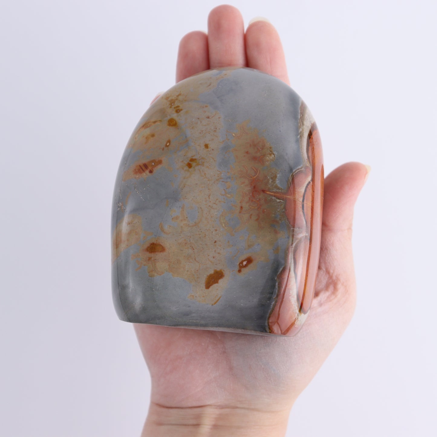 Polychrome Jasper Freeforms Set of 5 - Expert Wholesale and Supplier of Wholesale Crystals & Bulk Gemstones, ["jasper","Madagascar","Polychrome Jasper"]