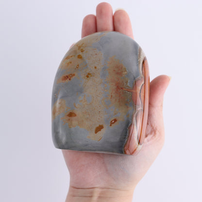 Polychrome Jasper Freeforms Set of 5 - Expert Wholesale and Supplier of Wholesale Crystals & Bulk Gemstones, ["jasper","Madagascar","Polychrome Jasper"]