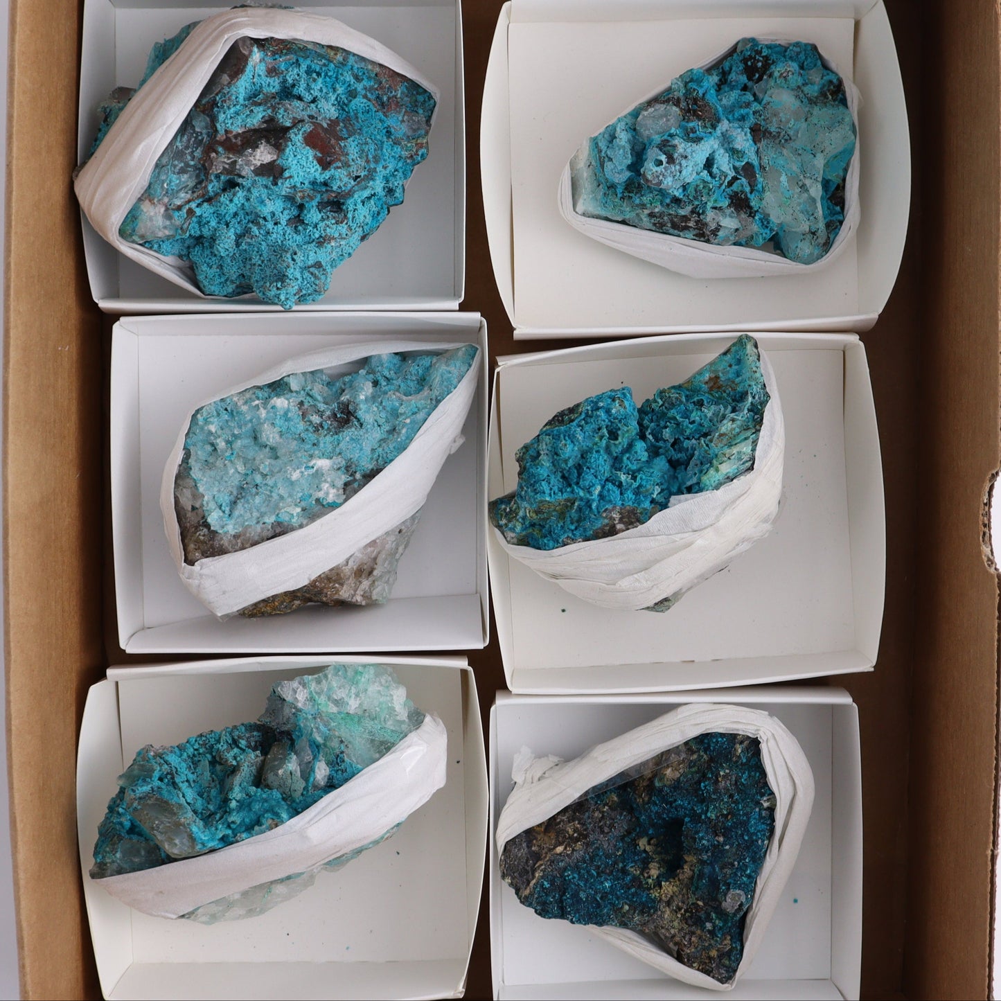 Chrysocolla with Quartz Roughs Set of 6 - Expert Wholesale and Supplier of Wholesale Crystals & Bulk Gemstones, ["Chrysocolla","Flats","Freeforms","Peru","Rough"]