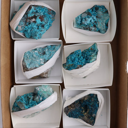 Chrysocolla with Quartz Roughs Set of 6 - Expert Wholesale and Supplier of Wholesale Crystals & Bulk Gemstones, ["Chrysocolla","Flats","Freeforms","Peru","Rough"]