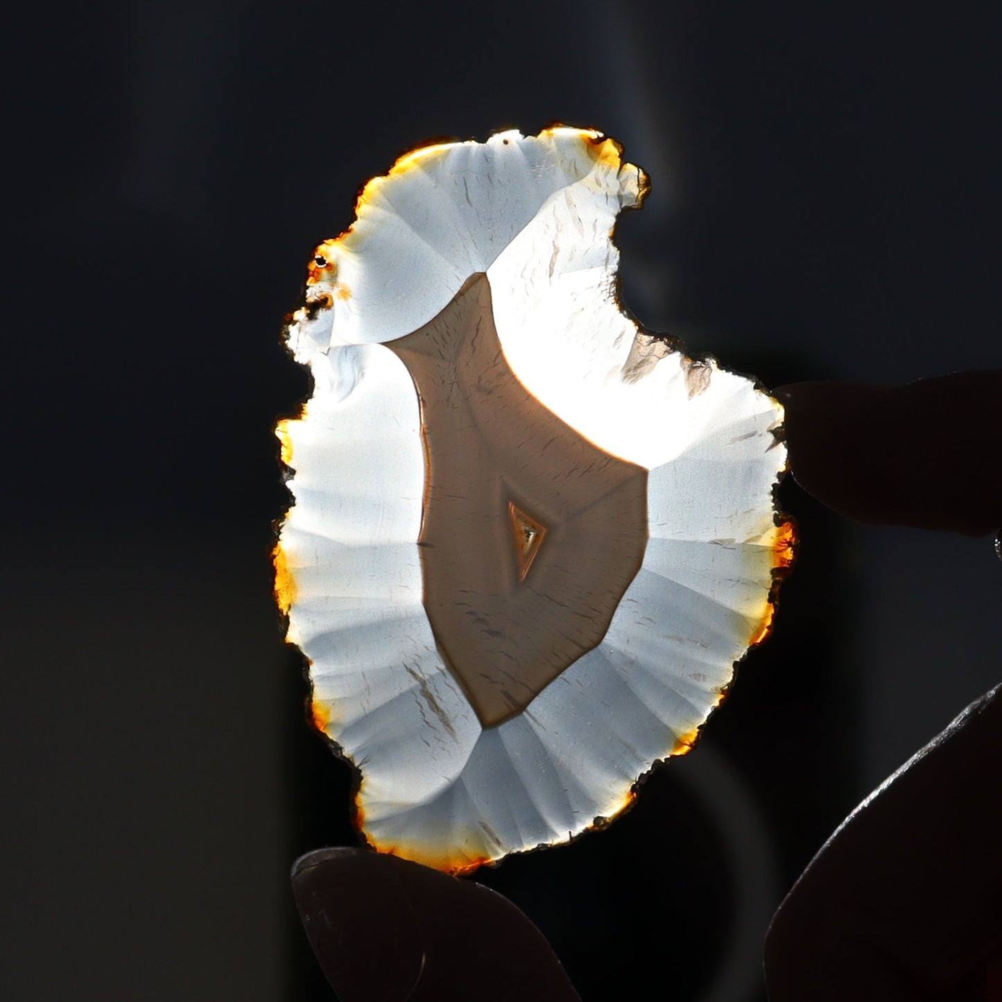 Iris Agate Slices Set of 8 - Expert Wholesale and Supplier of Wholesale Crystals & Bulk Gemstones, ["Agate","Iris Agate","Slices and Slabs"]