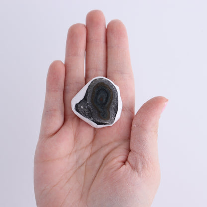 Uruguay Amethyst Clusters with "Eyes" Flat of 10 - Expert Wholesale and Supplier of Wholesale Crystals & Bulk Gemstones, ["Amethyst","Clusters","Eyes Amethyst","Uruguay"]