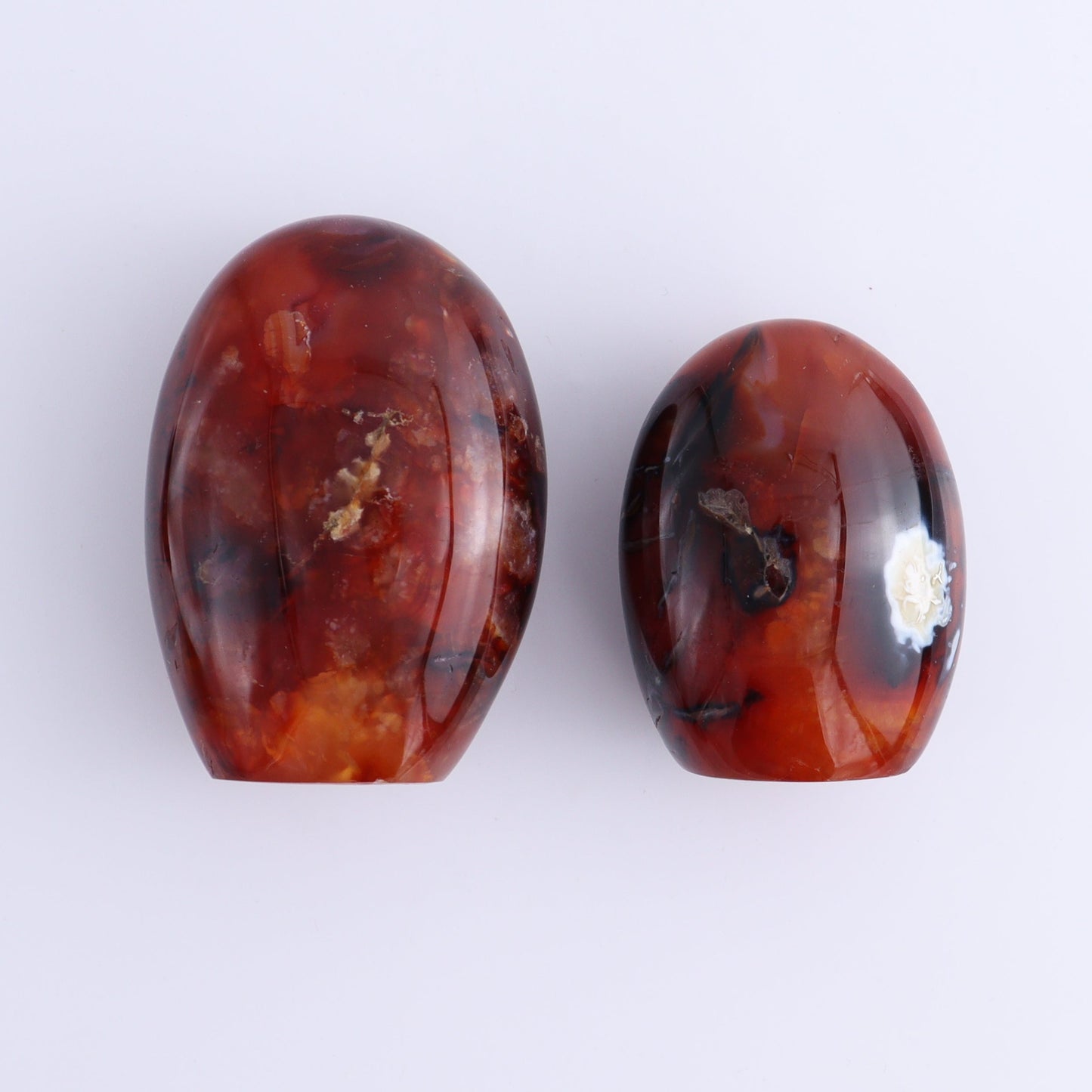 Carnelian Freeforms Set of 8 - Expert Wholesale and Supplier of Wholesale Crystals & Bulk Gemstones, ["carnelian","Freeform","Freeforms","Madagascar"]