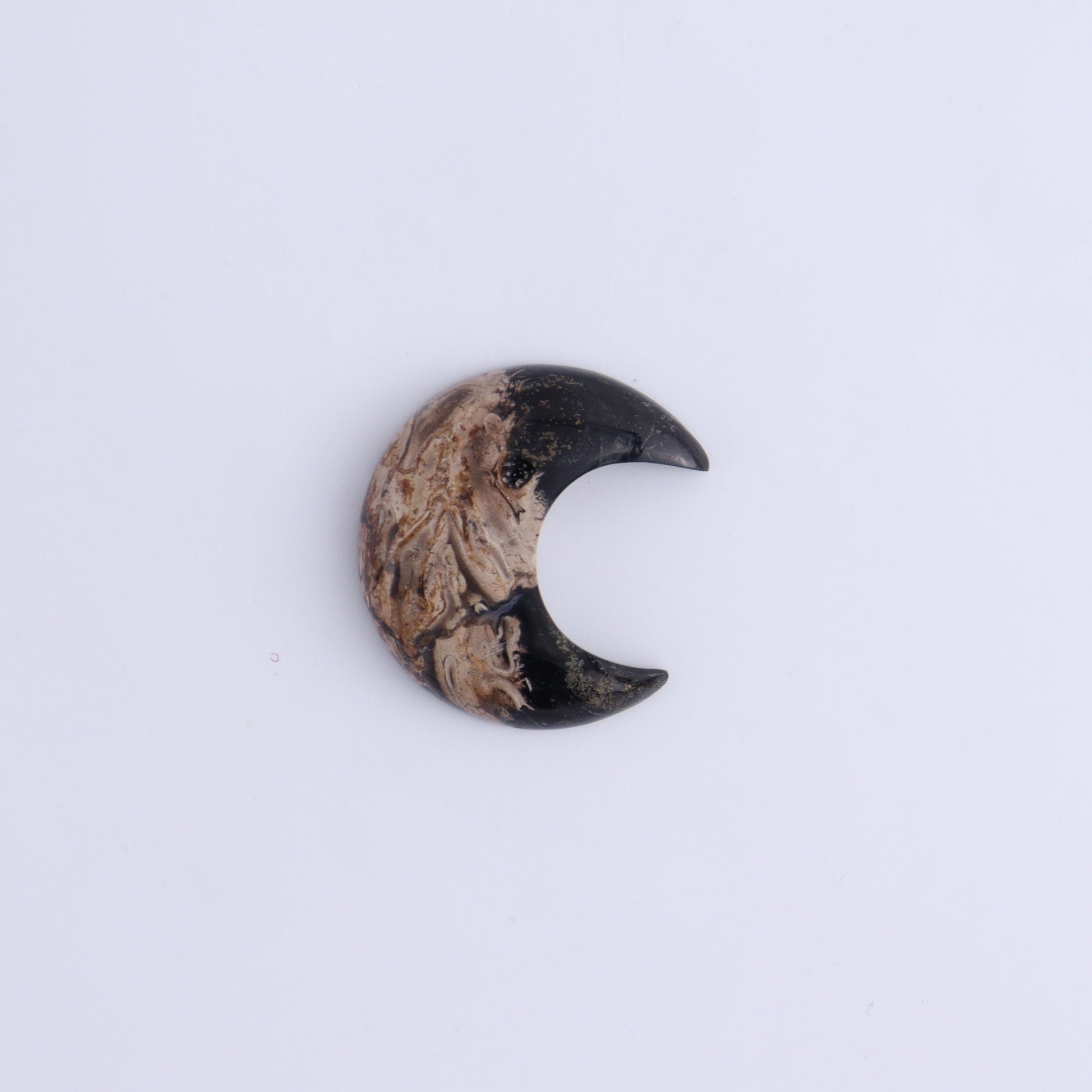 One Palm Root Moon Cab - Expert Wholesale and Supplier of Wholesale Crystals & Bulk Gemstones, ["Cabs","moons","Palm Root"]