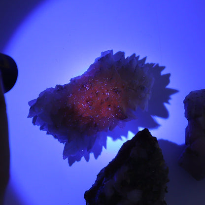 UV Reactive Calcite Flat Set of 18 - Expert Wholesale and Supplier of Wholesale Crystals & Bulk Gemstones, ["Calcite","Freeform","Freeforms","Mexico"]