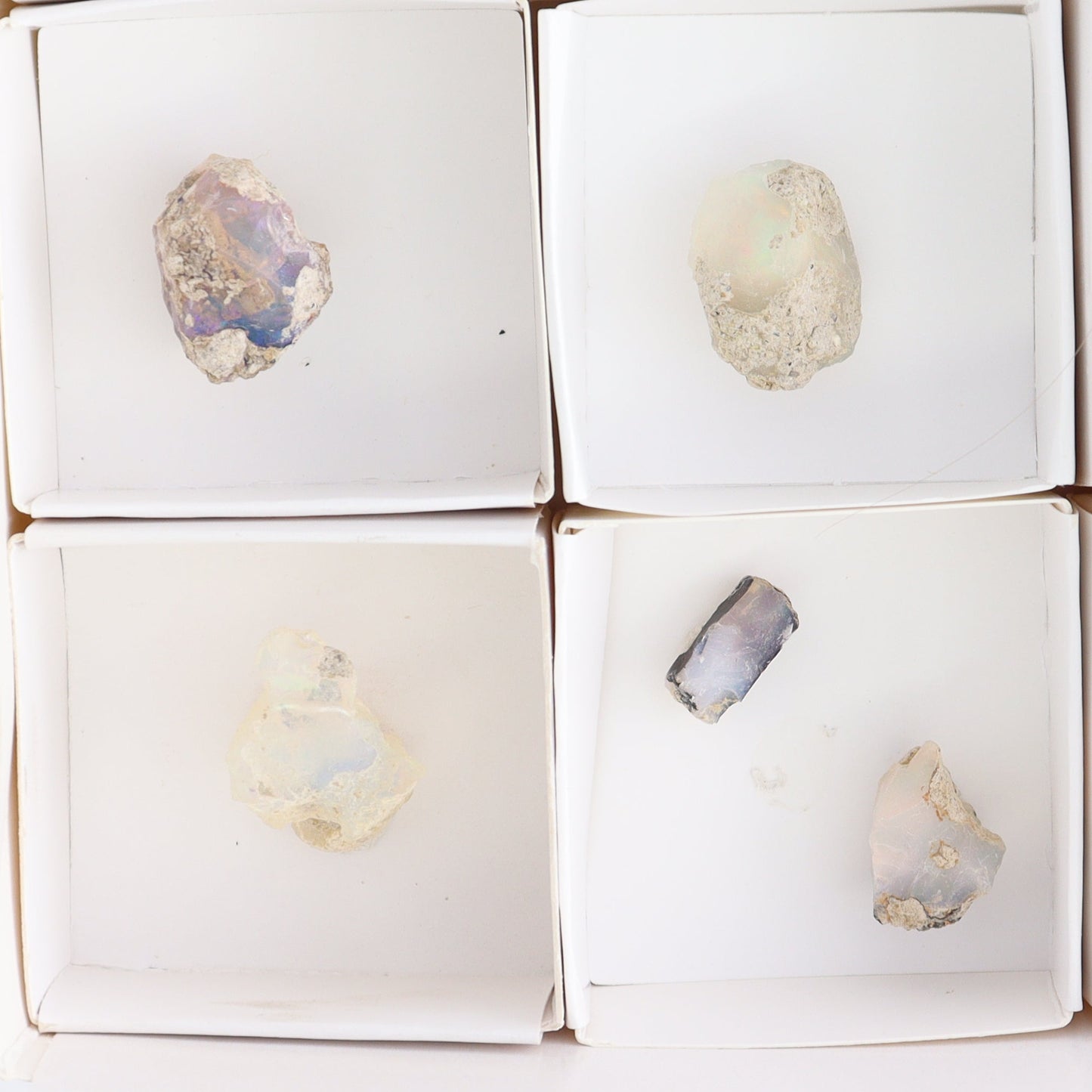Ethiopian Opal Set of 11 - Expert Wholesale and Supplier of Wholesale Crystals & Bulk Gemstones, ["Ethiopia","ethiopian opal","Opal"]