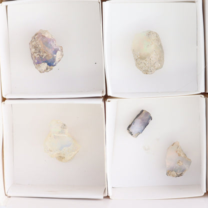 Ethiopian Opal Set of 11 - Expert Wholesale and Supplier of Wholesale Crystals & Bulk Gemstones, ["Ethiopia","ethiopian opal","Opal"]