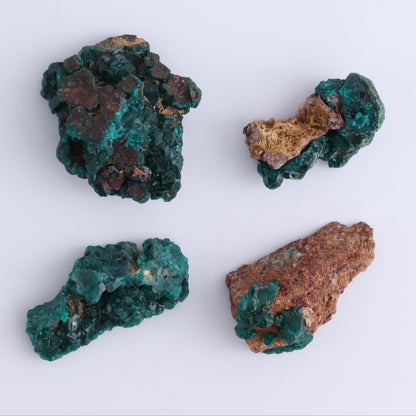 Dioptase Set of 12 - Expert Wholesale and Supplier of Wholesale Crystals & Bulk Gemstones, ["dioptase","Freeform","Freeforms"]