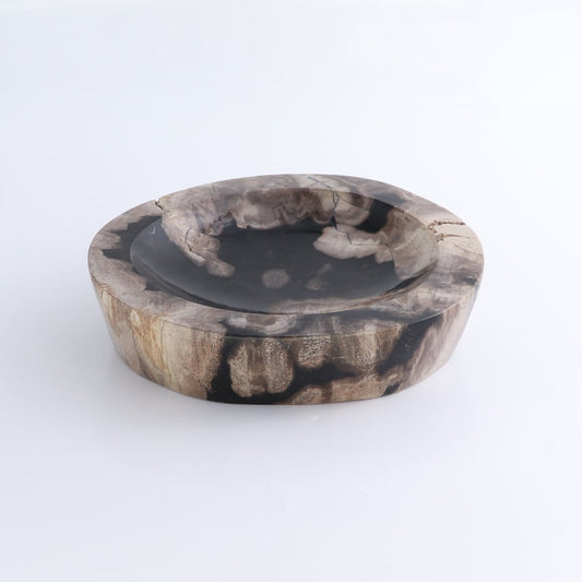 One Petrified Wood Black & Beige Polished Bowl