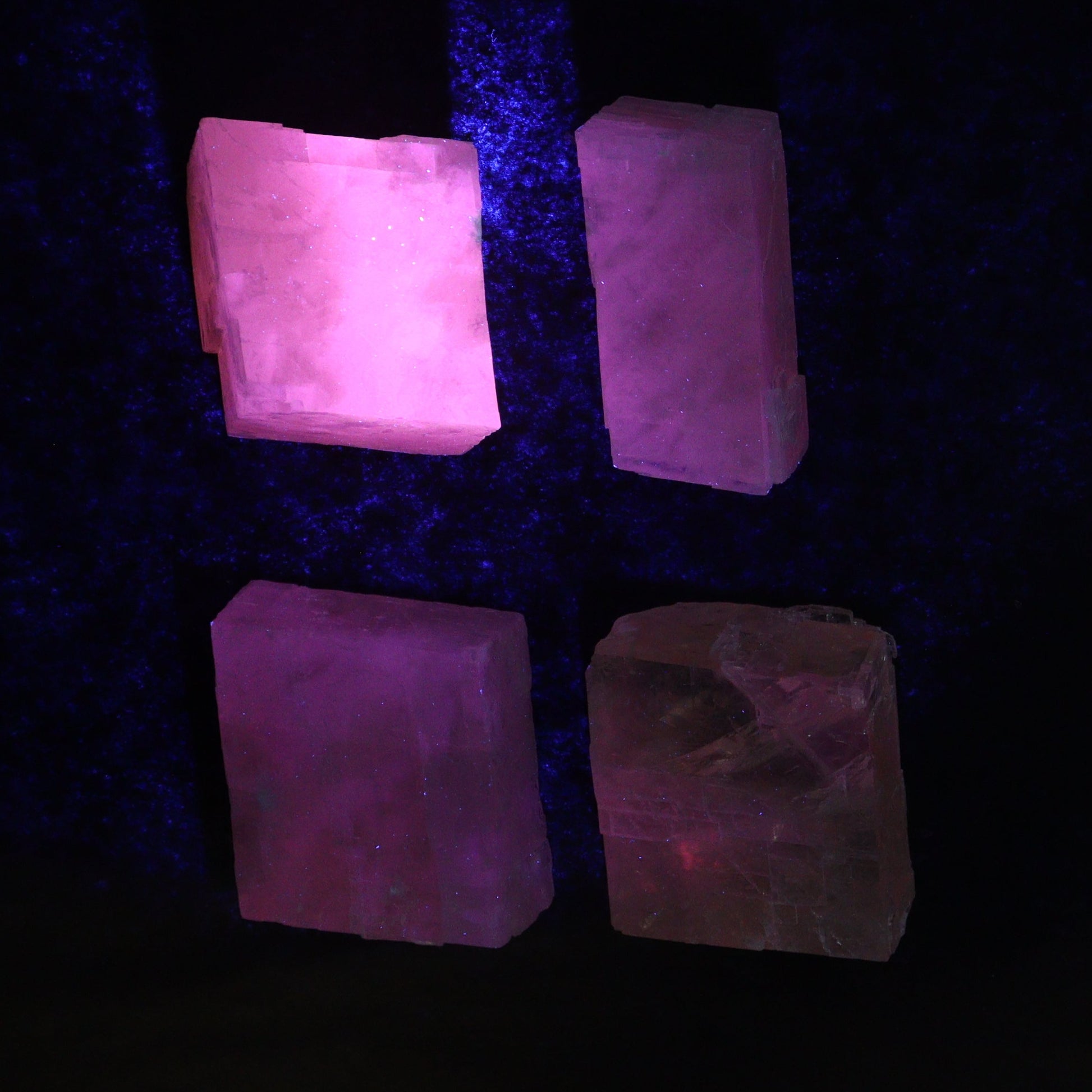 Pink Optical Calcite (Fluorescent) Set of 24 - Expert Wholesale and Supplier of Wholesale Crystals & Bulk Gemstones, ["Calcite","Mexico","Optical Calcite"]