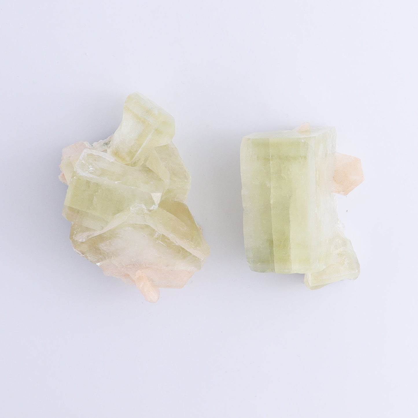 Apophyllite Clusters Flat of 6 - Expert Wholesale and Supplier of Wholesale Crystals & Bulk Gemstones, ["Apophyllite","Clusters","Flats"]