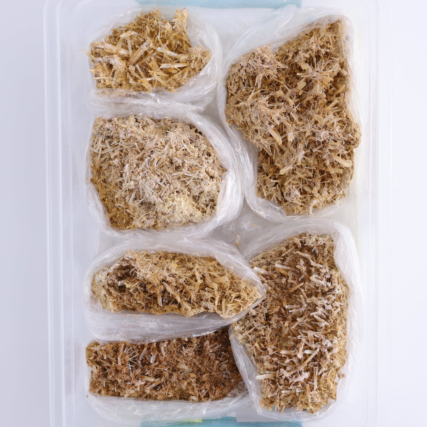 Selenite Gypsum from Morocco Flat